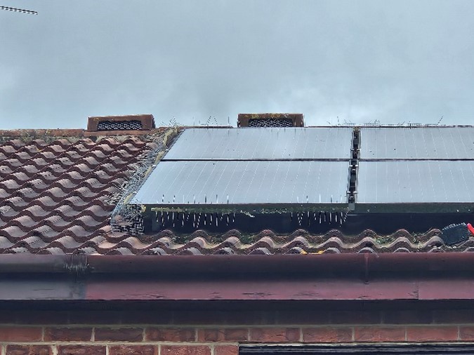 old-bird-proofing