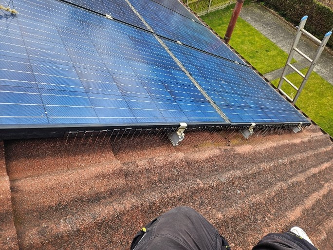 bird-proofing
